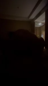 仙林女大